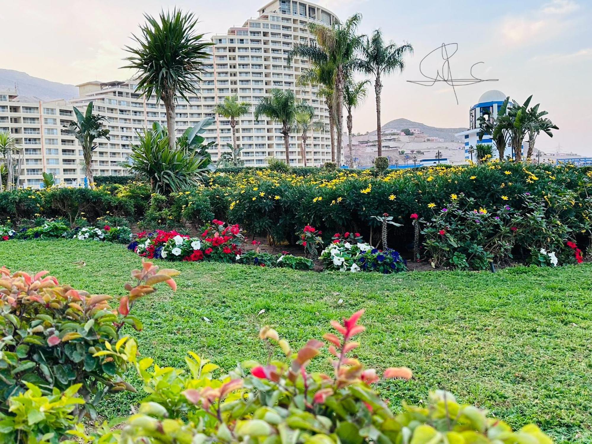 עיין סוחנה Chalet In Porto Sokhna Beach Resort מראה חיצוני תמונה